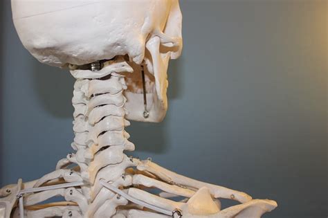 Is Cracking Your Neck Bad? - Saratoga Spine