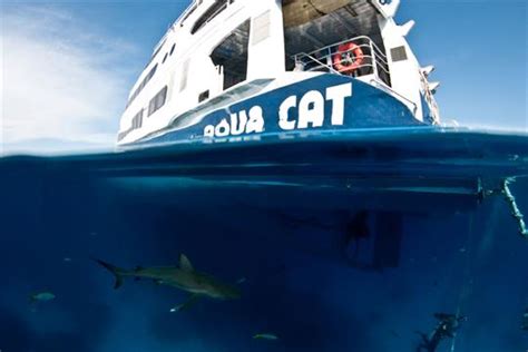 Aqua Cat, Bahamas - LiveAboard.com