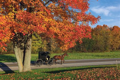 See Ohio's Fall Foliage from New Perspectives