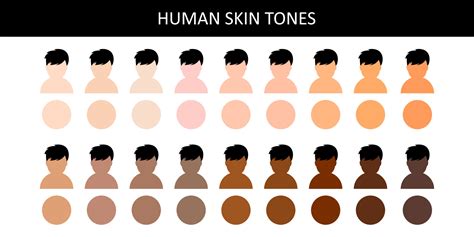 Human skin tones. Human skin tones. Various body skin color. Vector ...