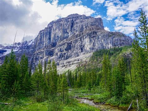 Stanley Glacier Hike (Kootenay National Park) | 10Adventures