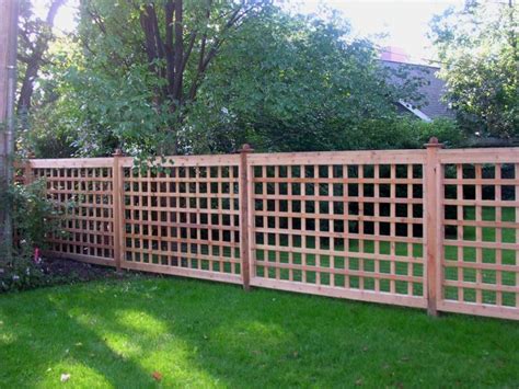 Cheap Easy Dog Fence With 3 Popular Dog Fence Options