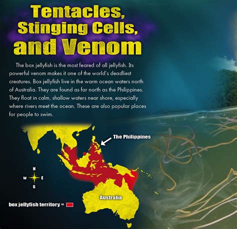 Box Jellyfish Venom: Biological Armageddon