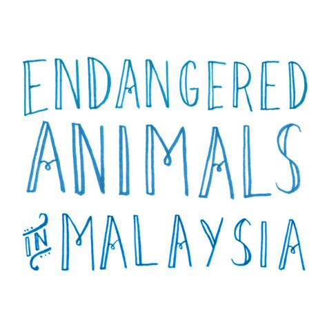 Endangered Animals in Malaysia - Rachel Chew - Design, Lettering & Illustration