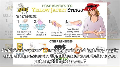 Home Remedies for Yellow Jacket Stings - YouTube