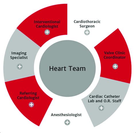 | Heart Team from Edwards Lifescience. | Download Scientific Diagram