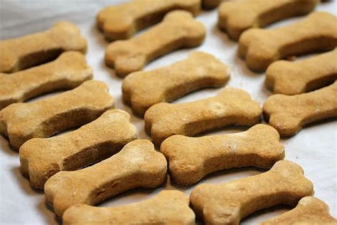 Homemade Pumpkin and Peanut Butter Dog Treats Recipe - Cully's Kitchen