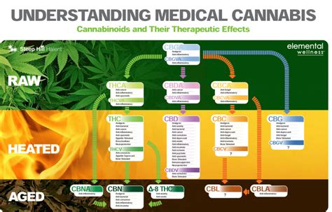 CBC Oil Guide For Beginners - CBD Oil Users