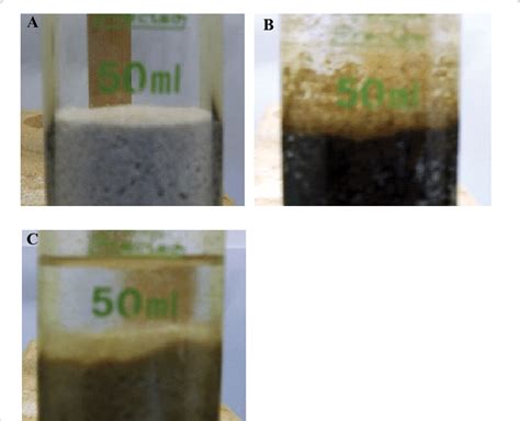 (A) Sand packed column containing only sea sand; (B) Sand packed column... | Download Scientific ...