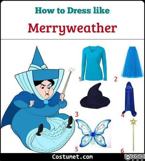 Flora, Fauna & Merryweather (Sleeping Beauty) Costume for Halloween