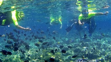 5 Tempat di Pulau Seribu yang Bagus untuk Snorkeling - Passiontoprofit