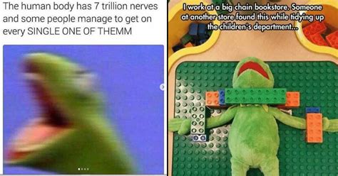 19 Snappy 'Kermit The Frog' Memes That'll Awaken The Nihilist In You ...