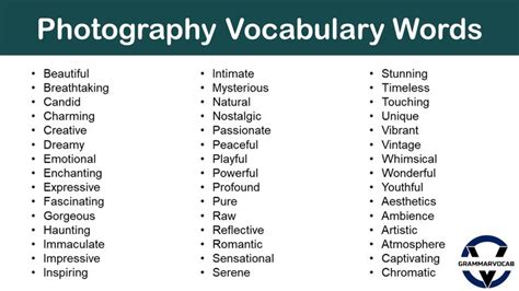 List of Photography Vocabulary Words | PDF | Photography vocabulary, Vocabulary words, Vocabulary