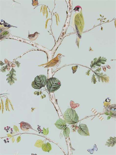 Sanderson Woodland Chorus Wallpaper, Sky Blue / Multi DWOW215706