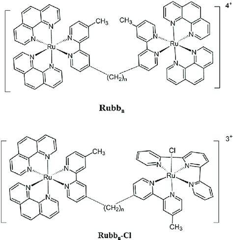 Structure of the Rubb n and Rubb n -Cl complexes (n = 7, 12 and 16 ...