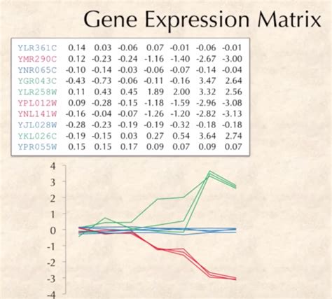 Gene Expression Matrix - Gohantimes