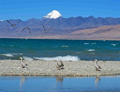 Mount Kailash Tour - Mount Kailash Pilgrimage Tour: 15 days in Tibet