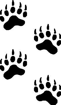 Bear-tracks clipart 20 free Cliparts | Download images on Clipground 2024