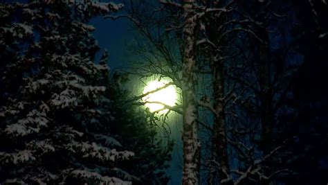 Magic Full Moon Over The Night Winter Forest. Stock Footage Video 3357962 - Shutterstock