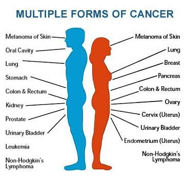 How Many Types Of Cancer In Human Body - CancerWalls