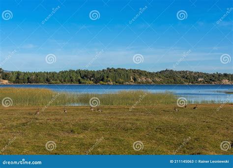 Landscape at Alumine Lake, Villa Pehuenia, Argentina Stock Image - Image of neuquen, mystery ...