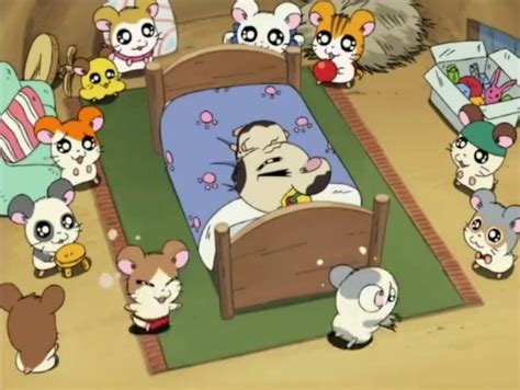 Boss's New Room | The Hamtaro Wiki | FANDOM powered by Wikia