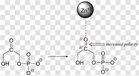 Bond Dipole Moment Intermolecular Force Chemistry Electronegativity - Science - Polar Biology ...