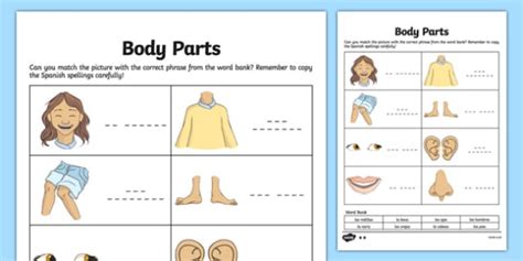 Spanish My Body Body Parts Worksheet (Teacher-Made)