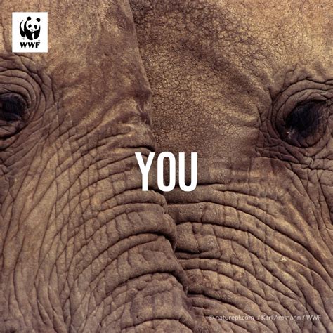 WWF-Philippines on Twitter: "Love comes in many forms 💖 So you can show both your love for your ...