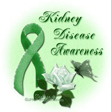 Kidney disease awareness Kidney Donor, Kidney Dialysis, Polycystic Kidney Disease, Chronic ...