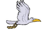 Dove Animated Flying Bird Gif Transparent - pic-whatup