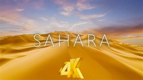 4K Video of the Sahara Desert to Relax and Warm You Up - YouTube