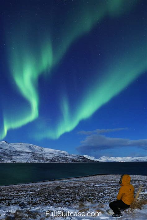 How to See the Northern Lights in Tromsø, Norway (+Best Tours & Tips)