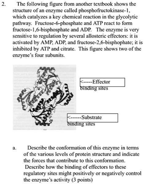 SOLVED: The following figure from another textbook shows the structure ...