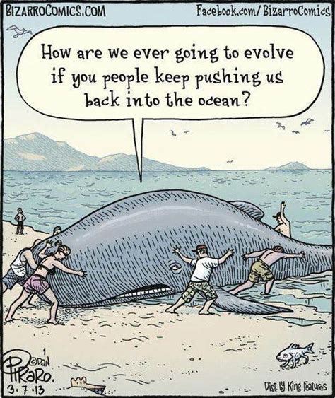 Other funny-comic-whale-evolution Photo