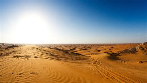 How to visit the Desert Conservation Reserve in Dubai