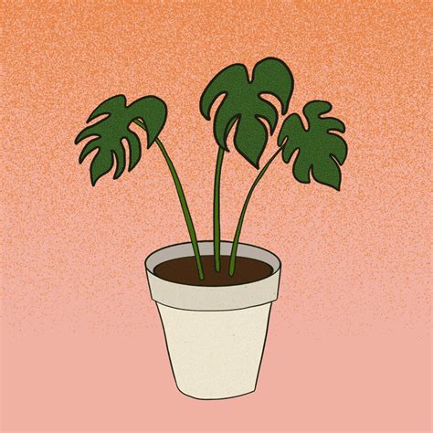 Plant Next Door – NFT Calendar