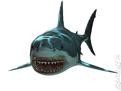 Great White Shark | Jaws Unleashed Wiki | FANDOM powered by Wikia