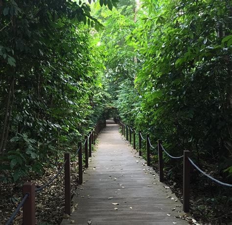 10 Hidden Facts About Singapore Botanic Gardens You Never Knew About