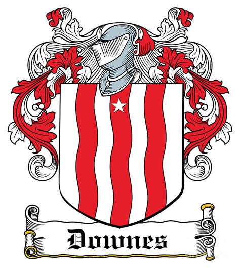 Downes Coat of Arms Irish Digital Art by Heraldry