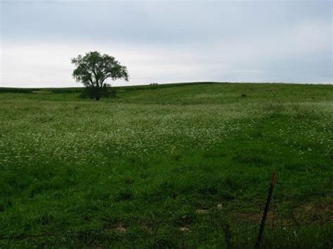 Highest point of Illinois by Phone Book of the World.com