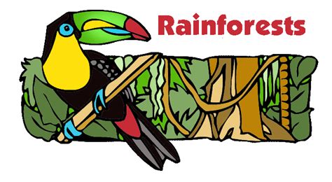 Free Rainforest Cliparts, Download Free Rainforest Cliparts png images ...