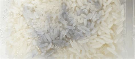 Chromobacterium Subtsugae & Blue Rice Exposure | Food Safety