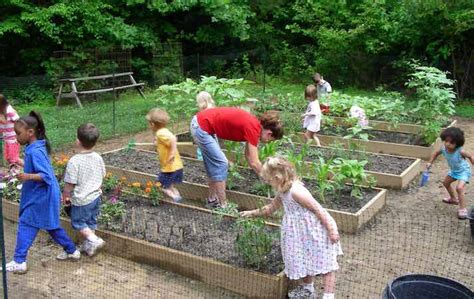 What to grow in a School Vegetable Garden