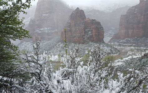 Snow at Zion National Park OC [3130×1836] #reddit | Zion national park ...