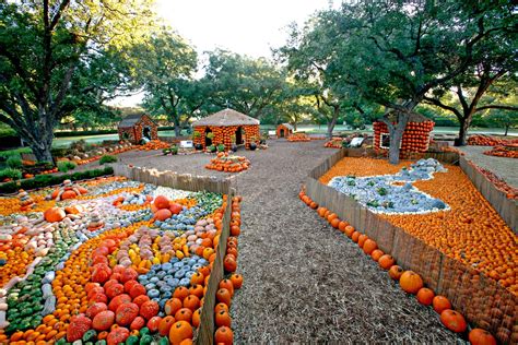 Dallas Arboretum, Autumn at the Arboretum, Pumpkin Village | Dallas arboretum, Fall family fun ...