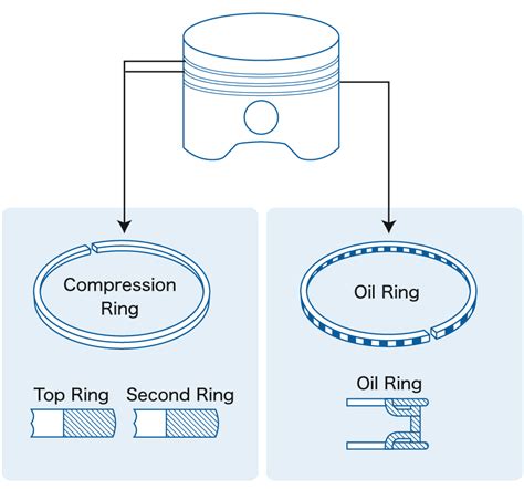 Piston Oil Rings