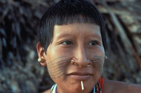 Brazil’s uncontacted tribes in peril from the COVID-19 crisis | by Survival International | Medium