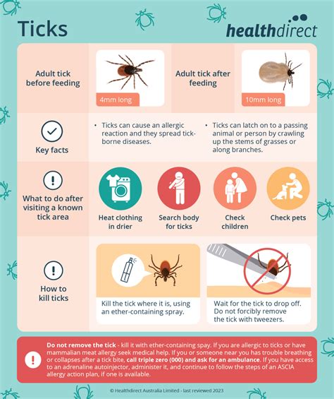 Understanding TICK BITES: SIGNS & Treatment OPTIONS!