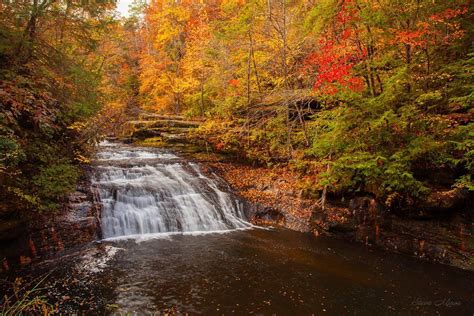 Fall colors at Kinlock Falls in the Bankhead National Forest... From ...